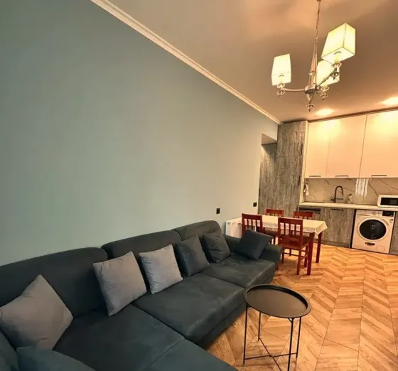 ქირავდება 2 ოთახიანი ბინა 45მ² 1/8 სართ თბილისი