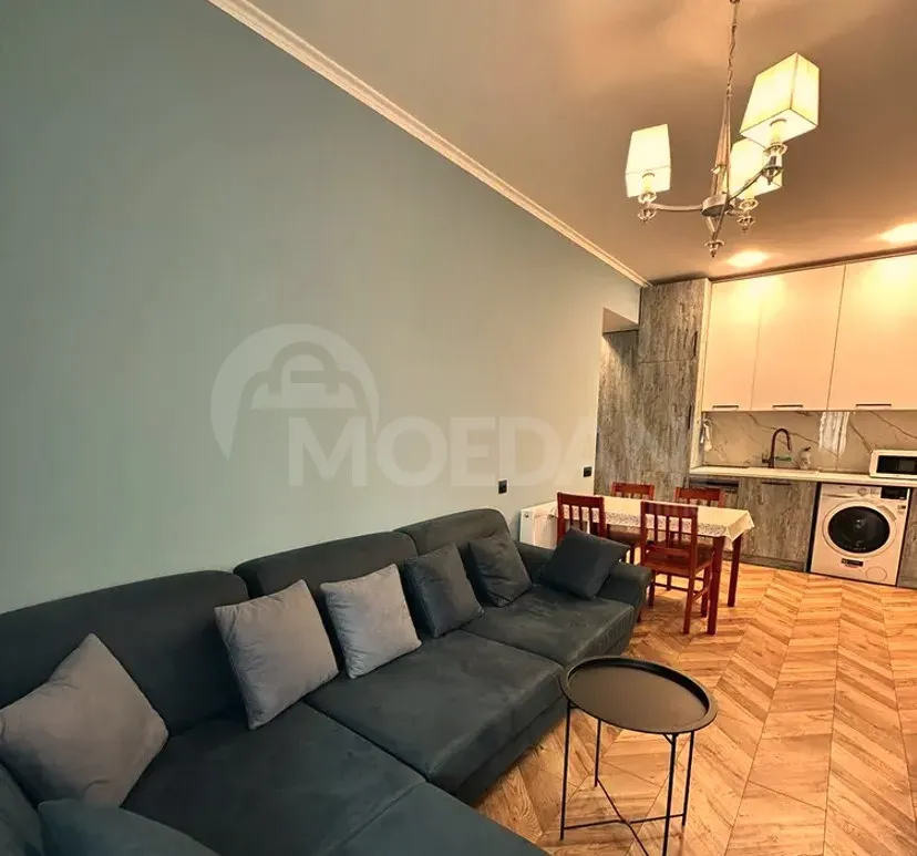 ქირავდება 2 ოთახიანი ბინა 45მ² 1/8 სართ თბილისი - photo 3