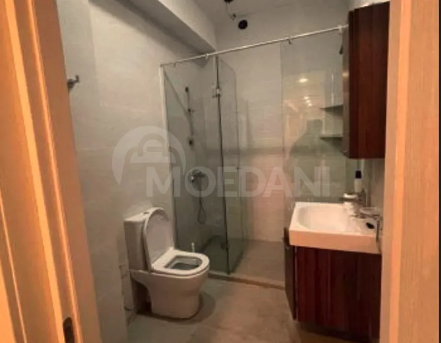 Apartments For Rent four-room 155м² 8/22 floor Tbilisi - photo 10