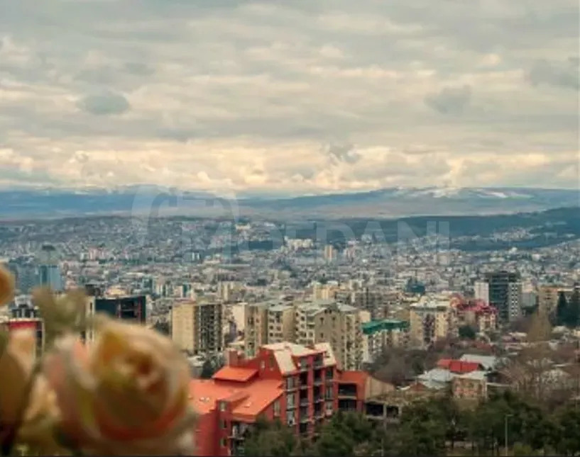 ქირავდება 3 ოთახიანი ბინა 100მ² 3/10 სართ თბილისი - photo 9