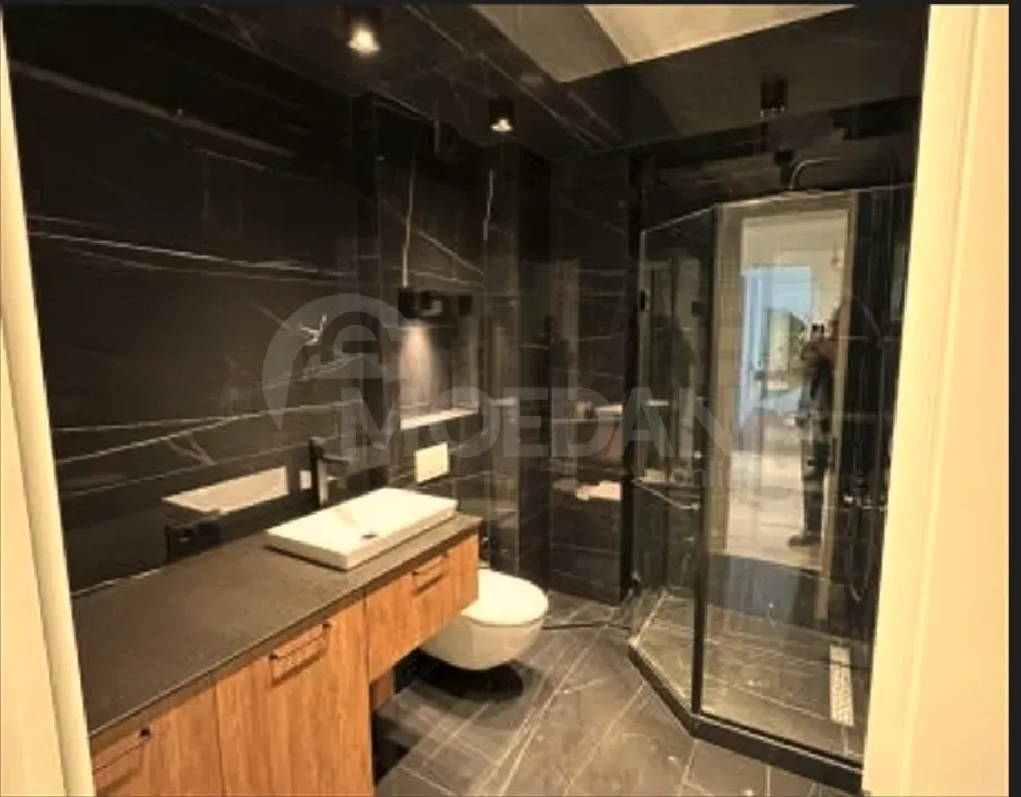 Apartments For Rent four-room 180м² 8/18 floor Tbilisi - photo 9