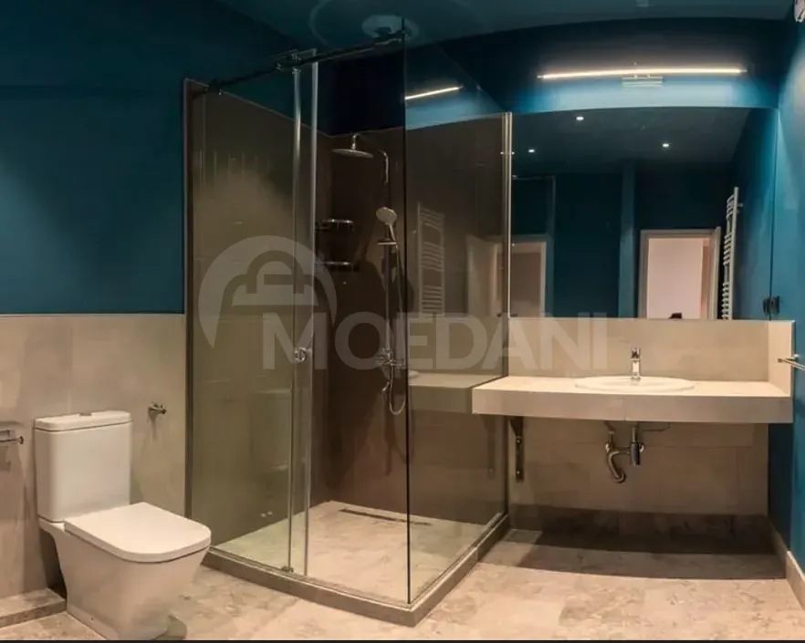 ქირავდება 3 ოთახიანი ბინა 145მ² 17/22 სართ თბილისი - photo 9