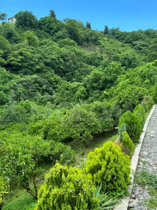 Продам земельный участок 2350м² Батуми - изображение 5