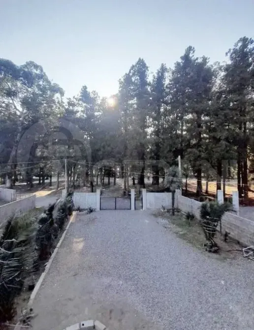 ქირავდება სახლი 200м² ბათუმი - photo 6