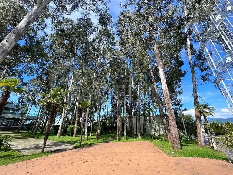 იყიდება 2 ოთახიანი ბინას 77მ² 6/9 სართ ბათუმი - photo 7