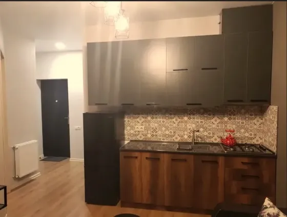 ქირავდება 2 ოთახიანი ბინა 47მ² 2/7 სართ თბილისი