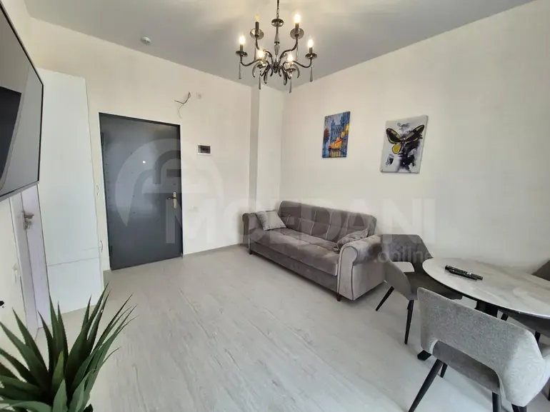 Apartments For Sale two-room 50м² 9/13 floor Tbilisi - photo 2