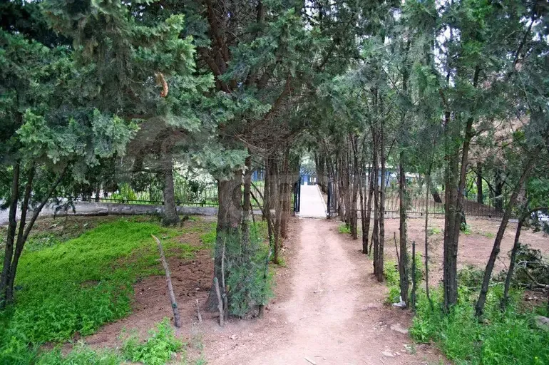 Apartments For Sale two-room 54м² 11/25 floor Tbilisi - photo 7