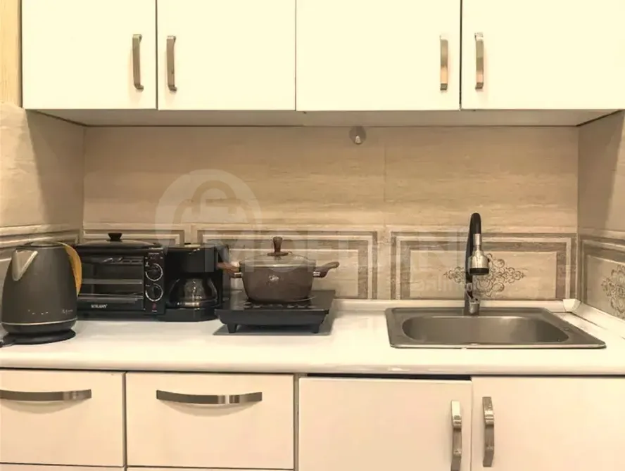 Apartments For Rent two-room 45м² 2/2 floor Tbilisi - photo 3