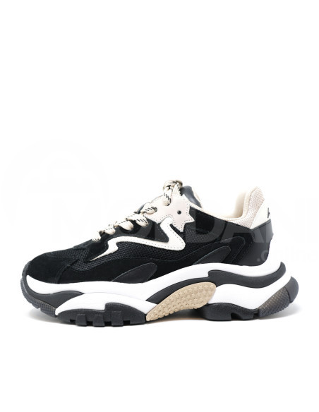 ASH Tbilisi - photo 2