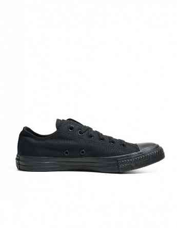 converse - CHUCK TAYLOR ALL STAR - OX Tbilisi