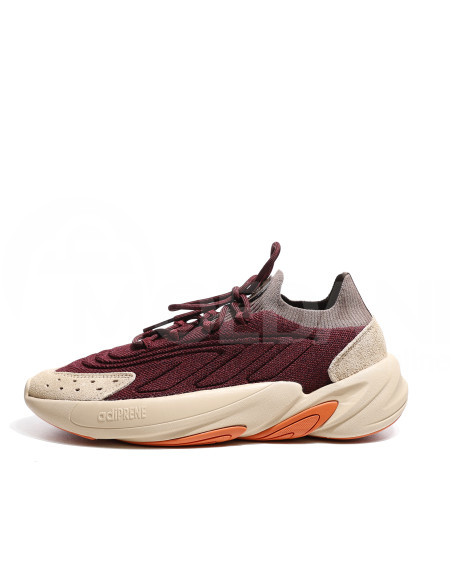 Adidas - OZELIA KNT Tbilisi - photo 2