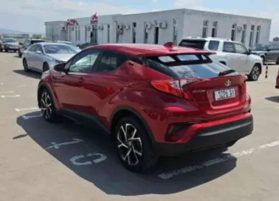 Toyota C-HR 2020 Тбилиси