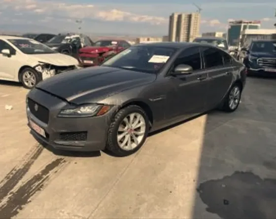 Jaguar XF 2017 თბილისი