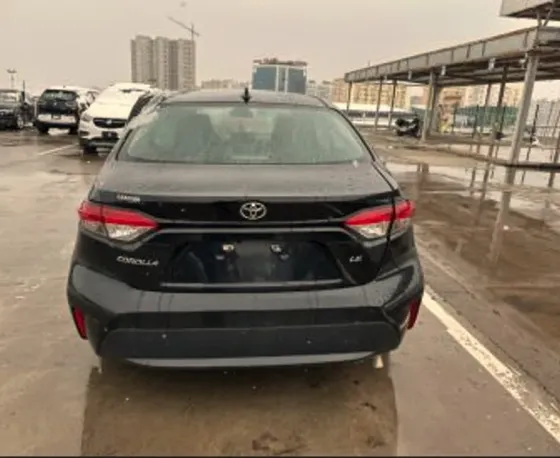 Toyota Corolla 2020 Tbilisi