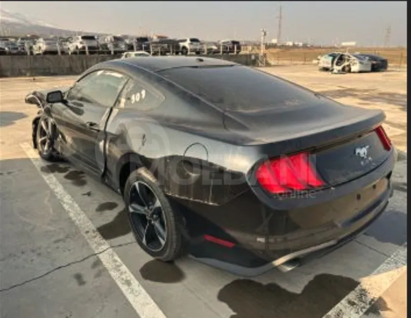 Ford Mustang 2.3L 2024 თბილისი - photo 6