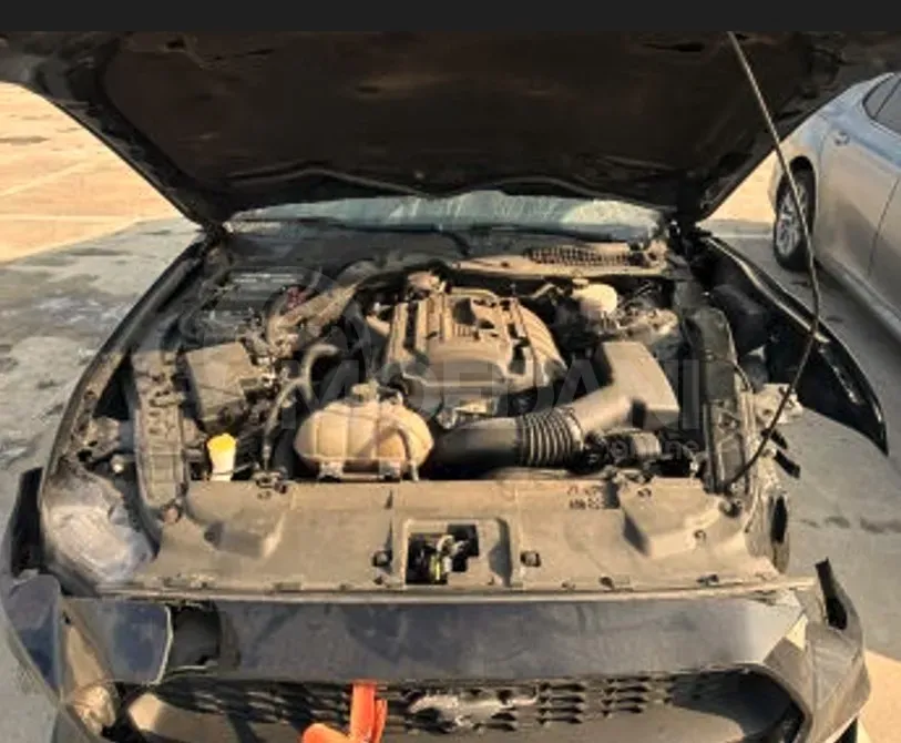 Ford Mustang 2.3L 2024 თბილისი - photo 11