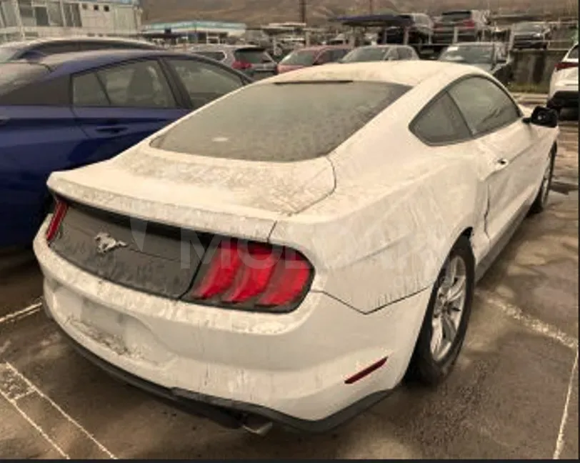 Ford Mustang 2.3L 2019 Тбилиси - изображение 3