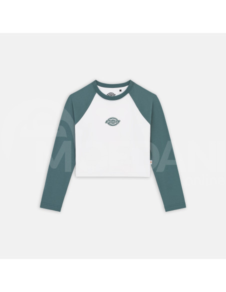 Dickies - SODAVILLE LS TEE LINCOLN GREEN Тбилиси - изображение 6