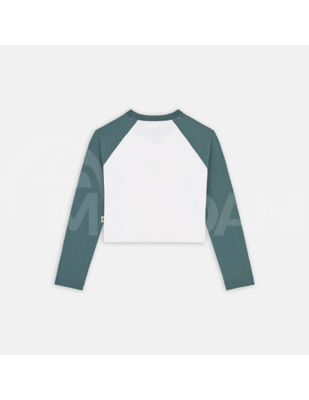 Dickies - SODAVILLE LS TEE LINCOLN GREEN Тбилиси - изображение 7