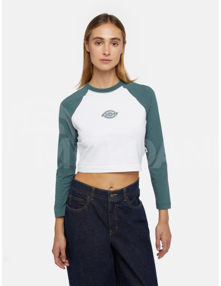 Dickies - SODAVILLE LS TEE LINCOLN GREEN Тбилиси - изображение 1