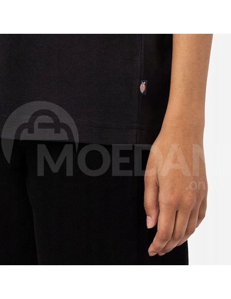 Dickies - SUMMERDALE SS TEE BLACK Тбилиси - изображение 4