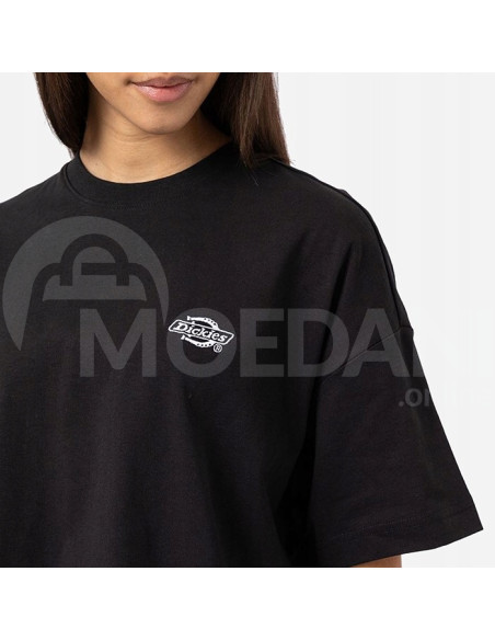 Dickies - SUMMERDALE SS TEE BLACK Тбилиси - изображение 3