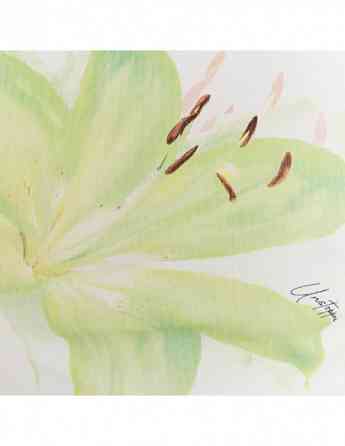 Tally Weijl - Knit Cotton T-Shirt AA თბილისი