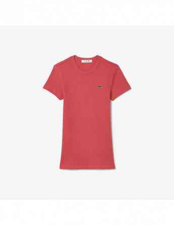 Lacoste - WOMEN SLIM FIT RIBBED COTTON T-SHIRT Tbilisi