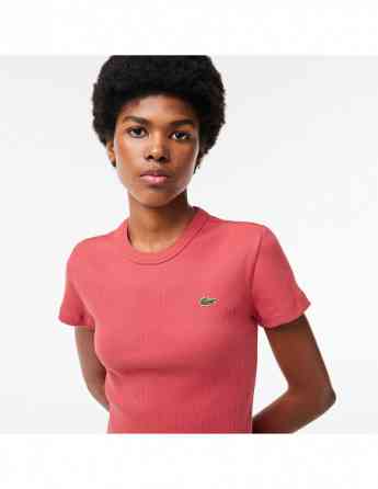 Lacoste - WOMEN SLIM FIT RIBBED COTTON T-SHIRT Tbilisi