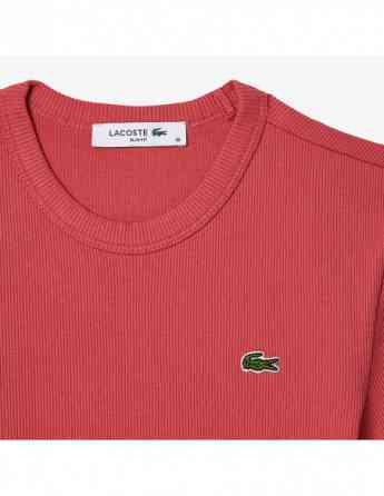 Lacoste - WOMEN SLIM FIT RIBBED COTTON T-SHIRT Tbilisi