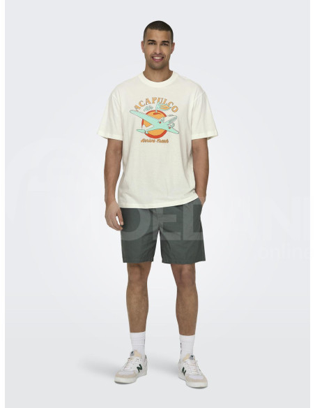 ONLY & SONS - ONSMONTE LIFE RLX SUMMER SS TEE Tbilisi - photo 4