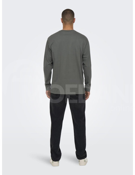 ONLY & SONS - ONSFRED LIFE RLX LS TEE Tbilisi - photo 4