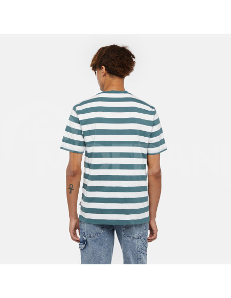 Dickies - RIVERGROVE SS TEE LINCOLN GREEN Тбилиси - изображение 2
