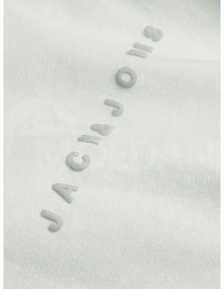 Jack & Jones - JORMARBELLA FADED TEE SS CREW NECK Тбилиси - изображение 2