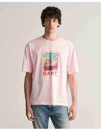 Gant - WASHED GRAPHIC SS T-SHIRT Тбилиси