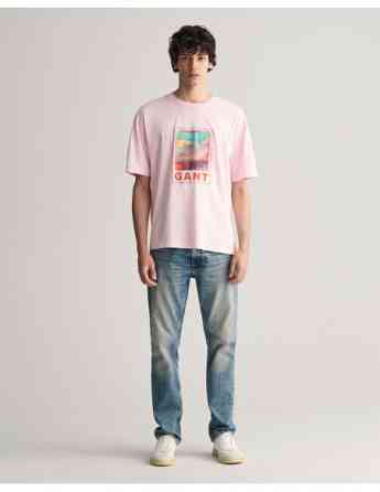 Gant - WASHED GRAPHIC SS T-SHIRT Тбилиси