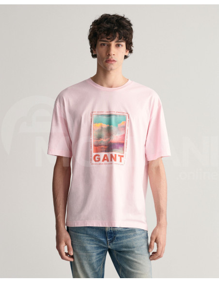 Gant - WASHED GRAPHIC SS T-SHIRT Тбилиси - изображение 1