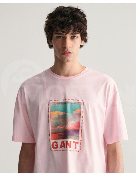 Gant - WASHED GRAPHIC SS T-SHIRT Тбилиси - изображение 4