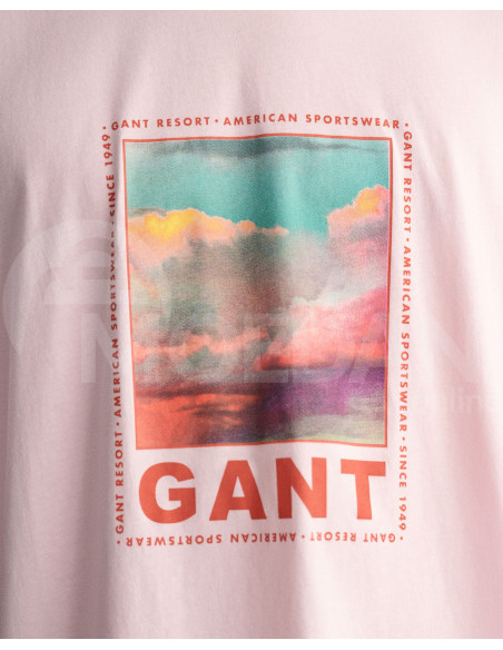 Gant - WASHED GRAPHIC SS T-SHIRT Тбилиси - изображение 3