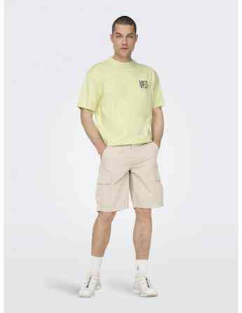 ONLY & SONS - ONSMTV LIFE LIC SUMMER RLX SS TEE Tbilisi