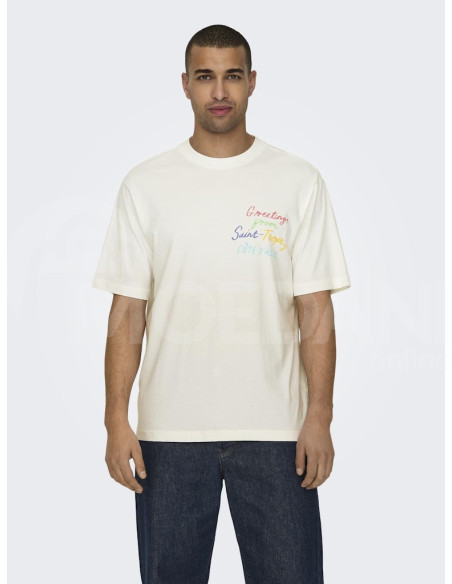 ONLY & SONS - ONSMANI LIFE RLX HIDEOUT SS TEE Tbilisi - photo 1
