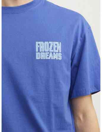 Jack & Jones - JORPIXEL PARADISE TEE SS CREW NECK TG Tbilisi