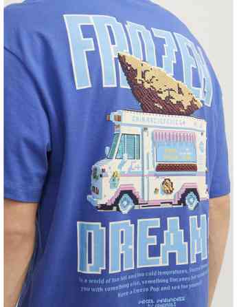 Jack & Jones - JORPIXEL PARADISE TEE SS CREW NECK TG Tbilisi