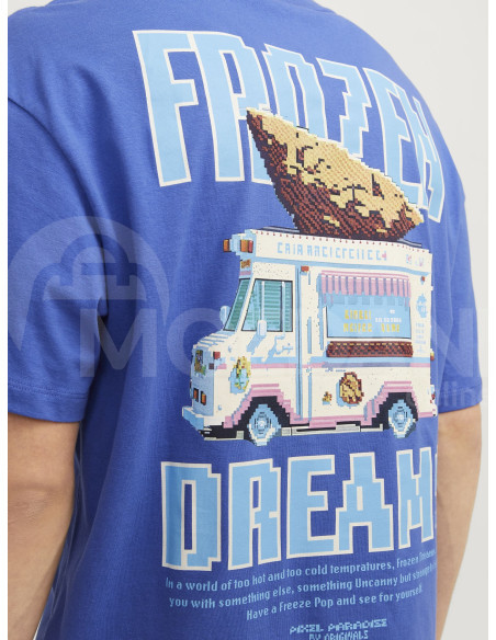 Jack & Jones - JORPIXEL PARADISE TEE SS CREW NECK TG Tbilisi - photo 4