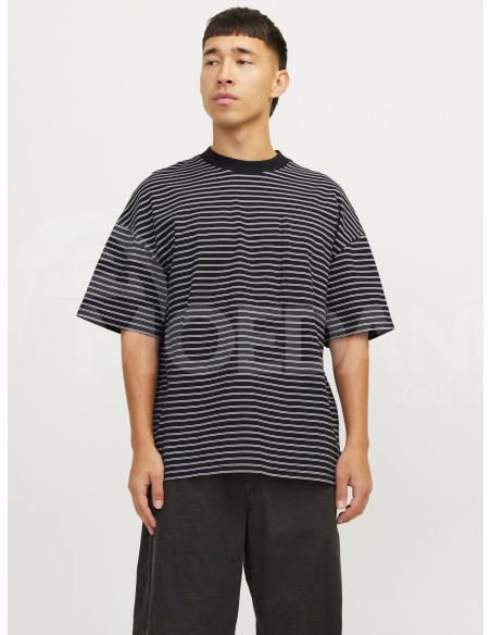 Jack & Jones - JCOTANICAL STRIPE TEE SS CREW NECK თბილისი - photo 1