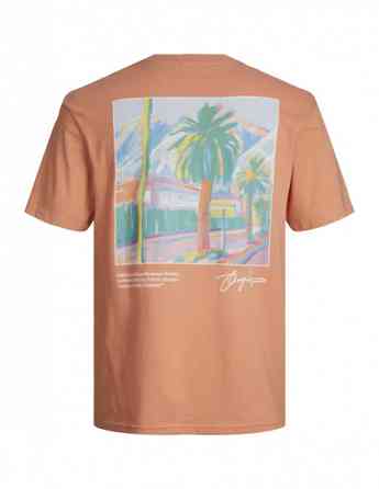 Jack & Jones - JORARUBA LANDSCAPE TEE SS CREW NECK თბილისი