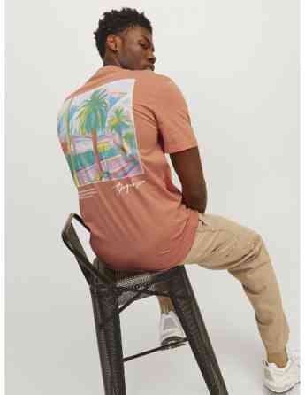 Jack & Jones - JORARUBA LANDSCAPE TEE SS CREW NECK თბილისი