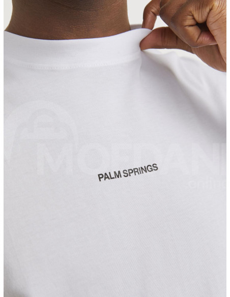 Jack & Jones - JORARUBA LANDSCAPE TEE SS CREW NECK თბილისი - photo 5