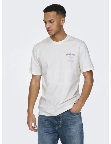 ONLY & SONS - ONSKYE REG PHOTO SS TEE თბილისი - photo 1